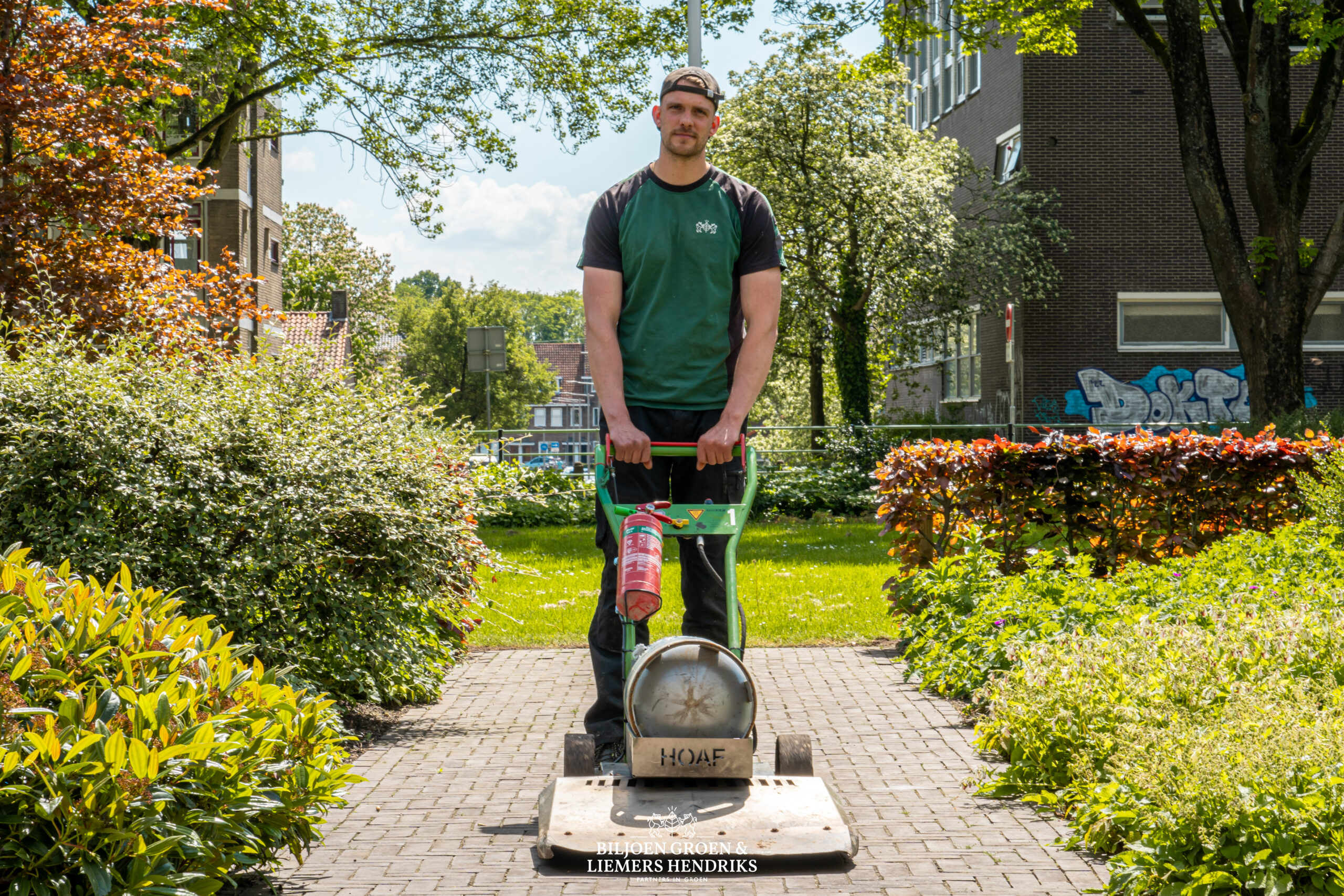 hovenier velp groen tuinman