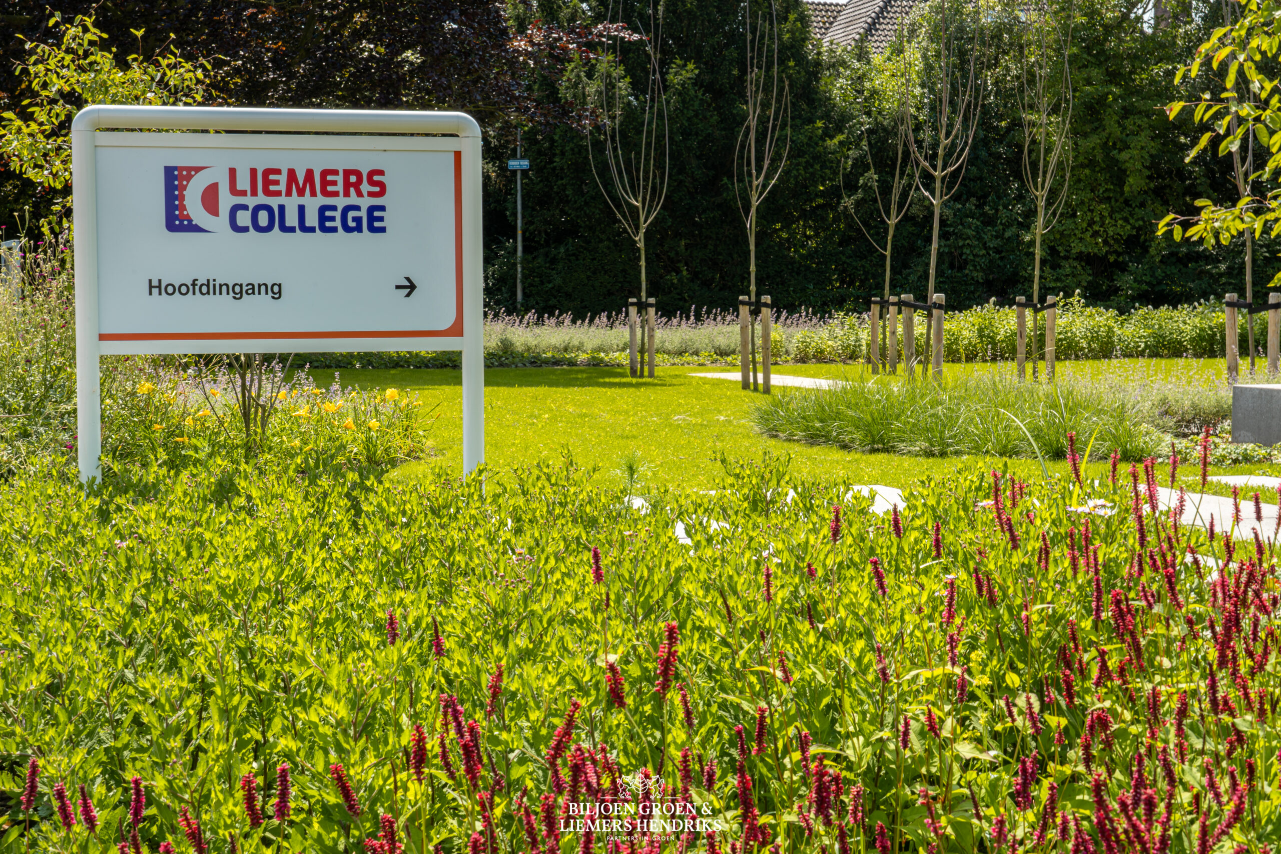 schoolplein water waterretentie duurzaamheid klimaatadaptatie