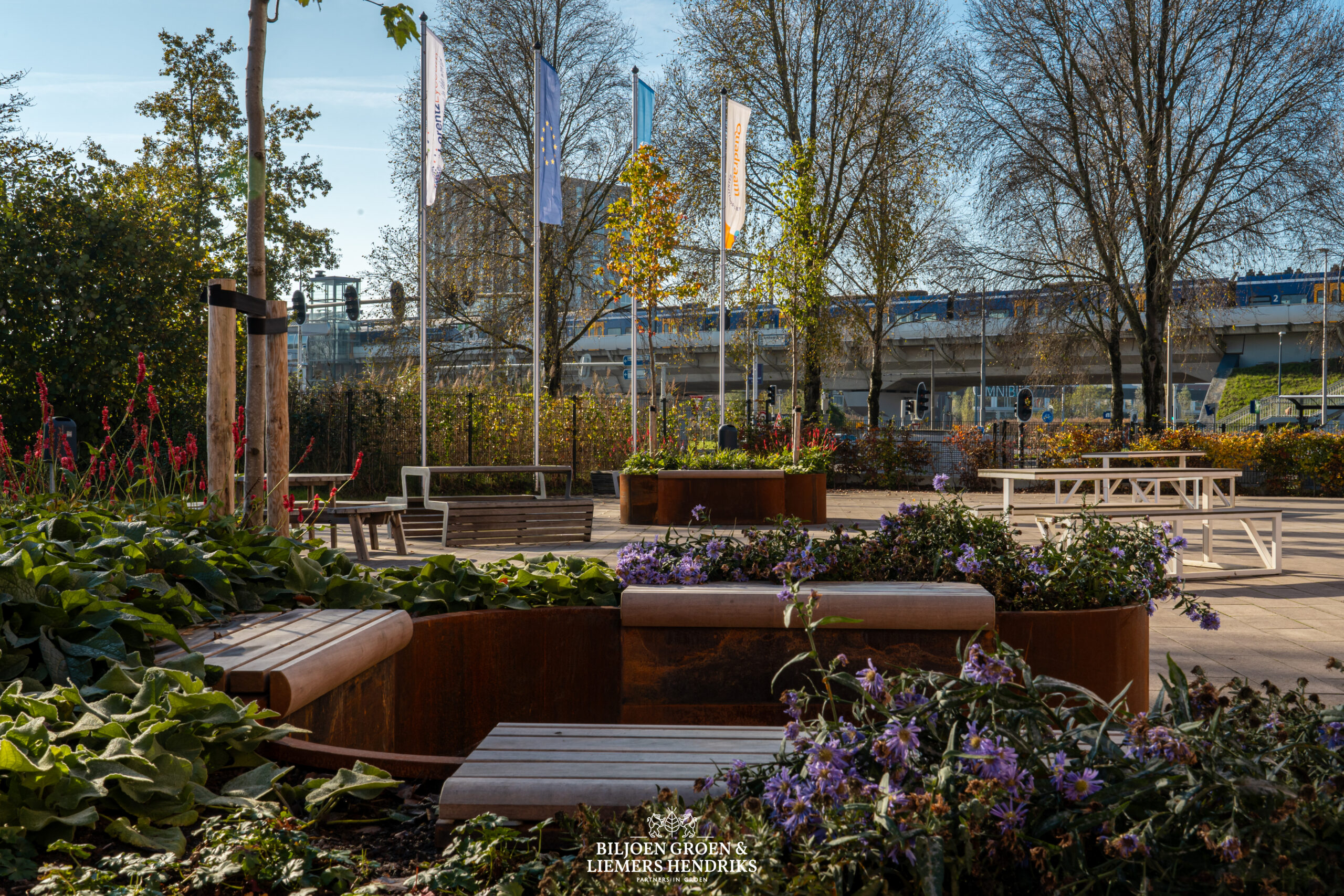 Schoolplein, vergroenen, plantenbakken, Cortenstaal, zitjes, zitelementen, staal, biodiversiteit, klimaatbestendigheid, toekomstbestendig, openbaar groen, pleinindeling, pleinontwerp, tuindesign