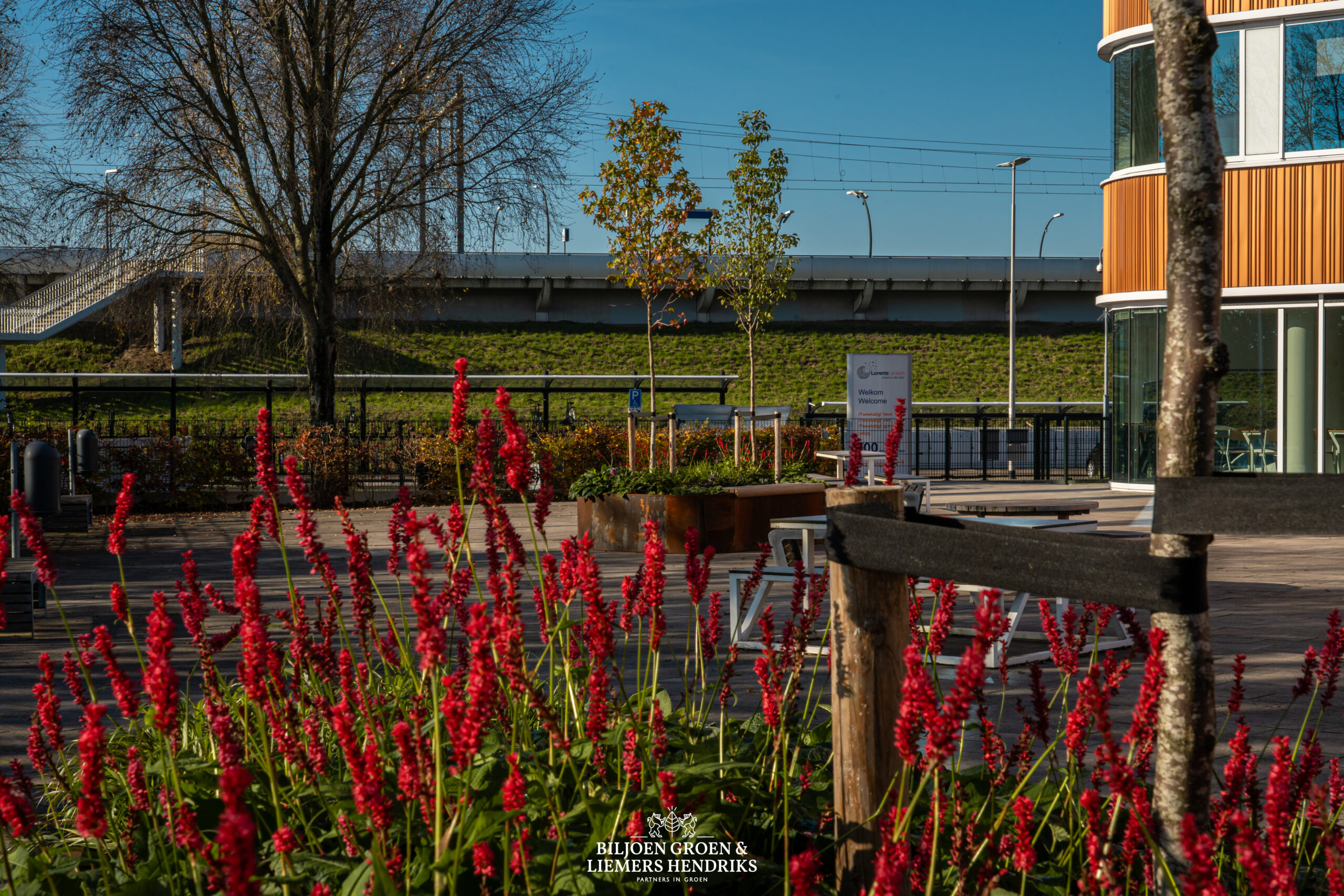 Schoolplein, vergroenen, plantenbakken, Cortenstaal, zitjes, zitelementen, staal, biodiversiteit, klimaatbestendigheid, toekomstbestendig, openbaar groen, pleinindeling, pleinontwerp, tuindesign