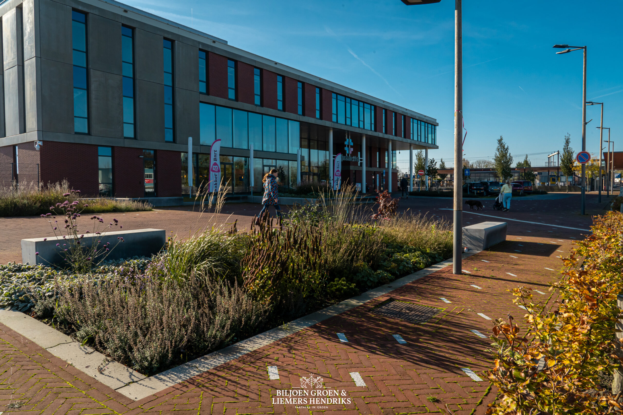 ziekenhuis rijnstate beplanting plein onderhoud beheer tuinonderhoud hoveniers najaarsbeurten