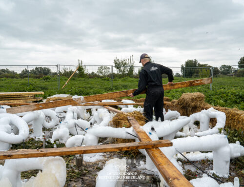 Duizendknoop Bestrijding Nederland